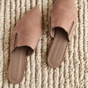 Jenni kayne mules